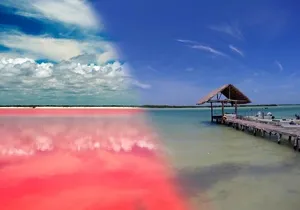 Pink Lake & Rio Lagarto! from Cancún [sin guía]