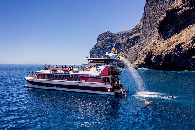 2-Hour whale & dolphin watching mini cruise from Puerto Colón