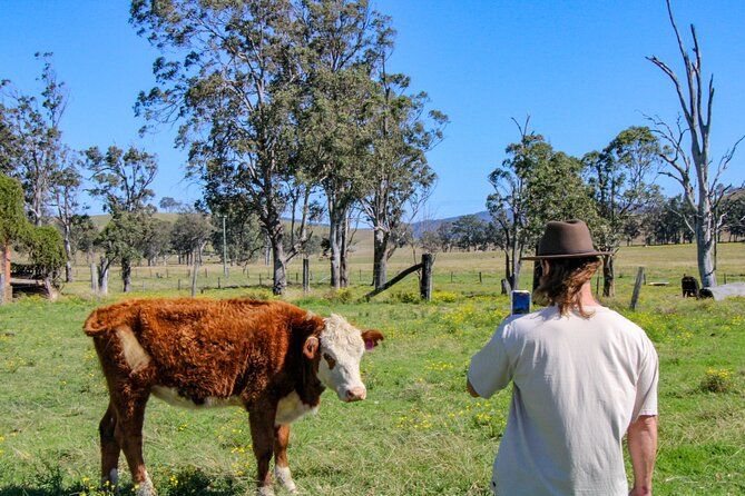 Newcastle: Country Towns River & Farm Tour with BBQ