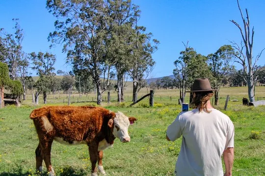 Newcastle: Country Towns River & Farm Tour with BBQ