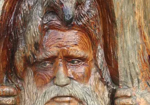 Fraser Valley Day Trip