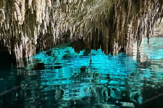2 Cenotes Private Tour – VIP Adventure with Expert Guide