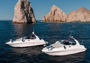 Private Yacht for 3 Hours (8 guests max)