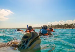 Private Tulum Akumal Cenotes Experience