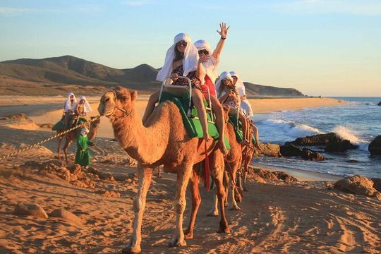 2x1 Tour: Cabo San Lucas Arch + Camels Ride + Pick up!