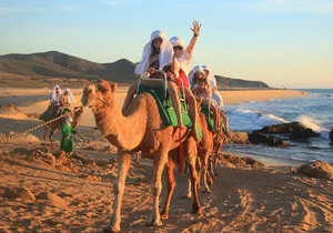 2x1 Tour: Cabo San Lucas Arch + Camels Ride + Pick up!