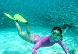 Discover an amazing world:Cenote exploration and jungle soaring. Buffet included