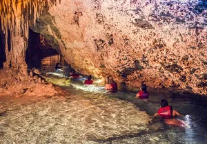 Tulum Ruins, Turtle Sightseeing & Cenote from Playa del Carmen