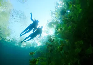 Unforgettable Xenotes Tour: Discover and Explore This Hidden Gem!