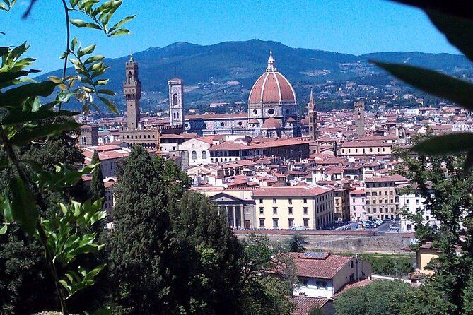 Livorno: VIP Shore Excursion to Florence & Pisa