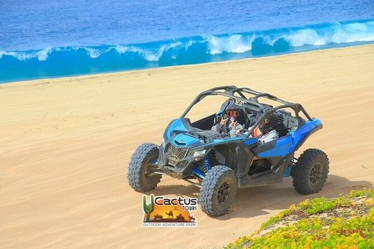 Cactus Premium Combo: OFF ROAD & SKY BIKE