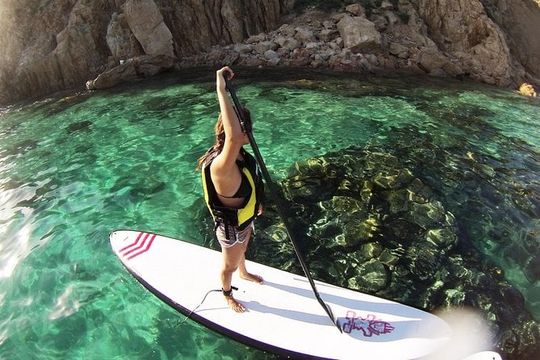 Stand-Up Paddle Boarding and Snorkeling in Cabo San Lucas