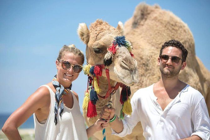 Desert and Sea Camel Safari Tour in Los Cabos with Lunch