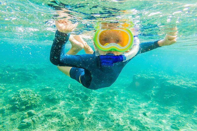 4 Hour Private Snorkeling Tour in Kona