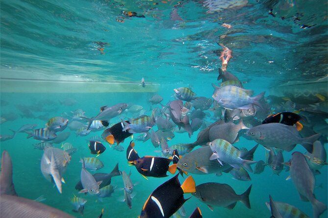 Cabo Wonders: Snorkeling at the Arch in Cabo
