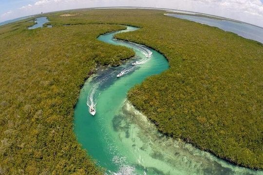 Snorkeling Experience in Cancún with Speedboat (Couple)