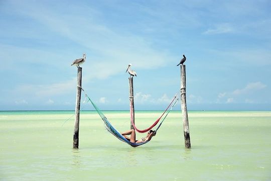 Discover the Wonders of Holbox, Cenote and Passion Island. Transport included