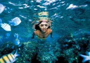 Amazing Royal Garrafon Park VIP- Departure from Cancún