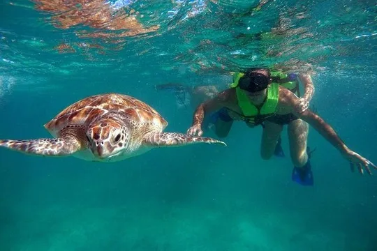 Tulum ruins swim with turtles in Akumal and Cenote