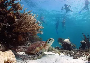 Sian Kaan Swim & Safari, Biosphere tour from Playa Del Carmen