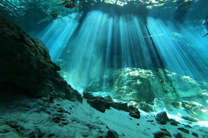 Tulum cenote diving. The ultimate experience in scuba