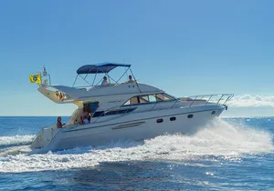 Whales and Dolphins excursion on a Luxury Yacht in Canary Islands