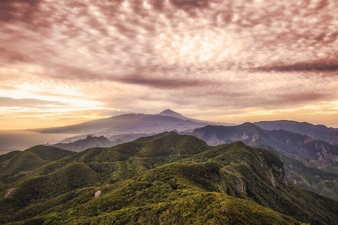 Half Day Tour Discovering Anaga Tenerife