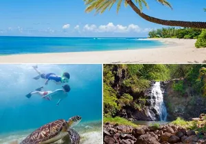 GROUP Tour- All Inclusive Circle Island With Turtle Beach