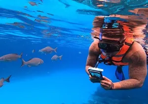 8-Hour Private 44' Leopard Catamaran Tour to Cozumel Beach w/Food & Open Bar