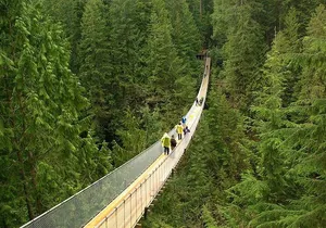 Vancouver and Capilano Park Private Tour