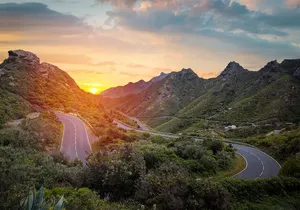 Full Day Tour with Certified Guide in Tenerife