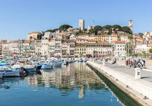 Cannes Shore Excursion: Private Half-Day Trip to Cannes & Grasse