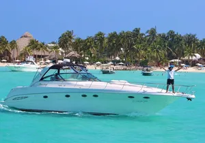 Beautiful Yacht SeaRay 48ft / 15PAX 25P16