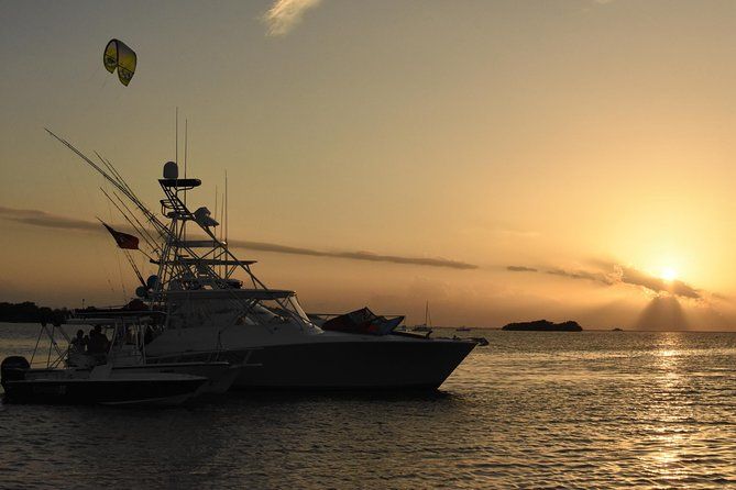 Bio Bay Magic and Rum Tasting Tour from San Juan