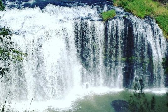 Swim & Fly Day Trip in Cancun with Transportation