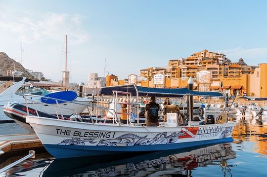 Private Half-Day Boat Diving Tour