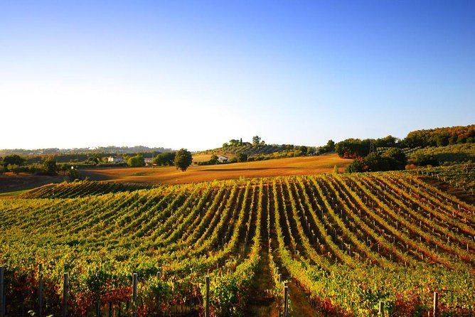 Day trip from La Spezia pier: San Gimignano and wine tasting - private tour