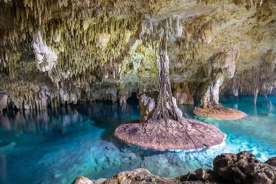 Half-Day Private Tulum and Sak Aktun Cave Cenote Tour from Cancun