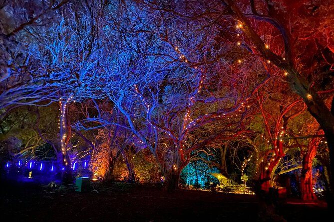 Wonderland by Night Norfolk Island