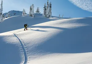 Whistler Backcountry Skiing and Splitboarding