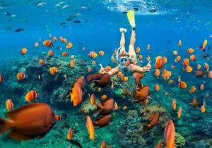 Snorkel in the second largest reef in the world Colorful tour in Puerto Morelos