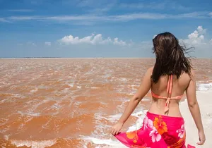 Paradisiacal tour: Las Coloradas Pink Lake and Rio Lagartos with Lunch included.