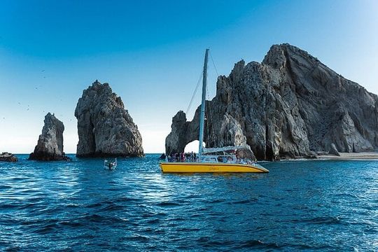 Sail into Serenity Tropical Jazz & Wine Aboard a Catamaran