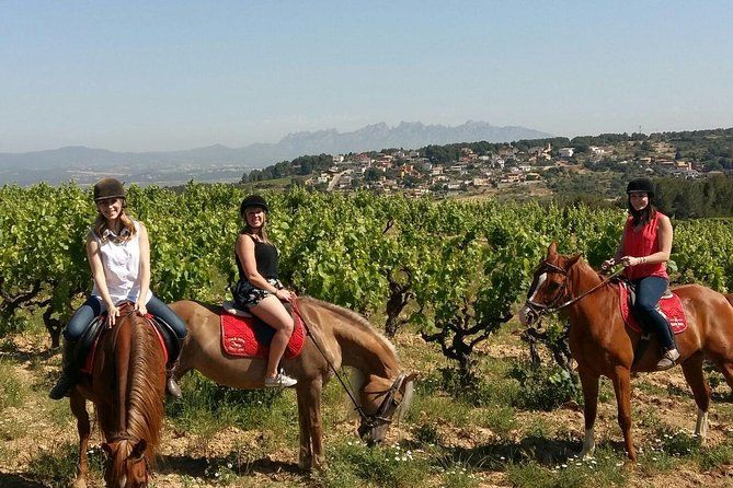 Horseback Ride, Penedes, Wine Tasting & Tapas Private Tour