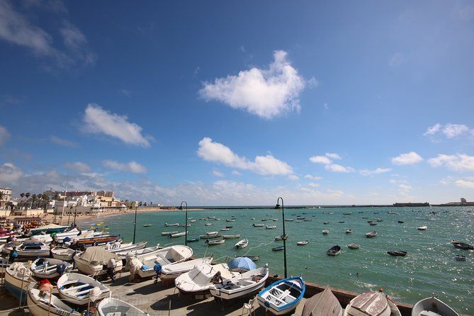 Cadiz Shore Excursion: Scenic & walking tour with cheese and sherry tasting