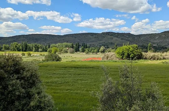Signature Private Wine Escape and Lunch by Madrid Wine Country