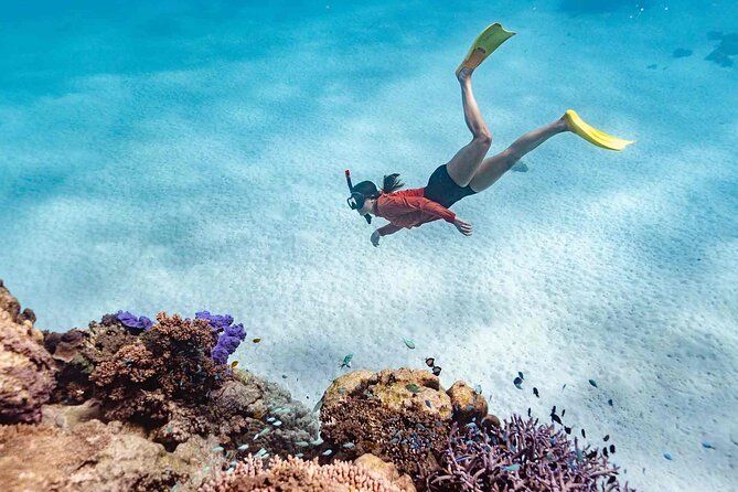 Ningaloo Reef Snorkel Adventure
