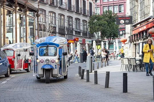 Private Madrid Historic Sights Tour by Electric Tuk-Tuk