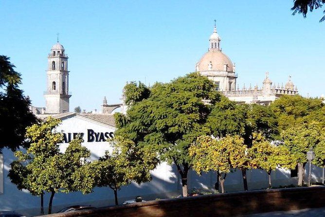Walking tour in Jerez
