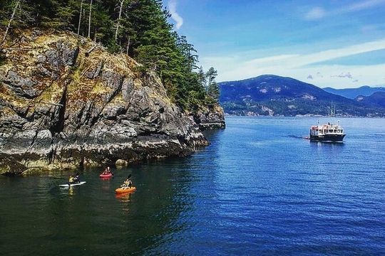 Morning Kayak & Seal Cruise in Vancouver